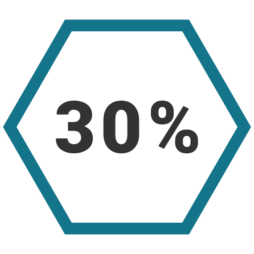 Graphic, info, percent, thirty icon