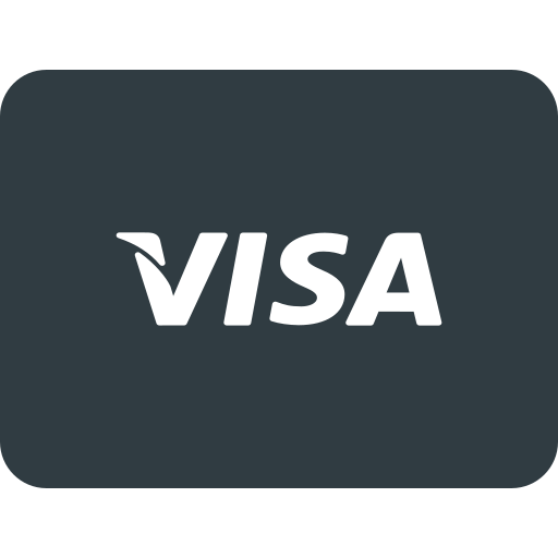 Card, money, online, pay, payments, send, visa icon
