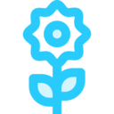 nature,plant,farming and gardening,gardening,garden,plants,flower,flowers,bloom ok 