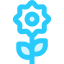 Moving icon 64x64