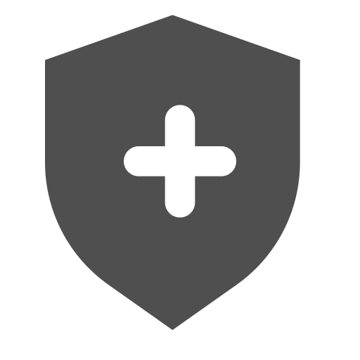 Key, lock, protection, safety, shield icon