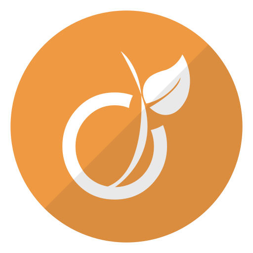 Account, logo, viadeo, website icon