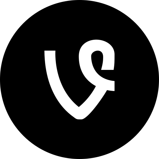 Media, social, vine, website icon