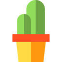 dry,nature,plant,botanical,dessert,plants,cactus