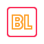Social Media Basic - Duo color icon 64x64