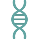 medical,education,science,biology,genetical,dna structure,deoxyribonucleic acid,dna