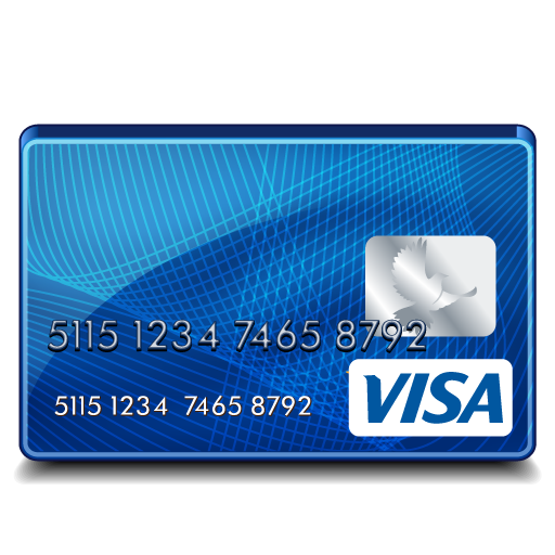 Standard, visa icon