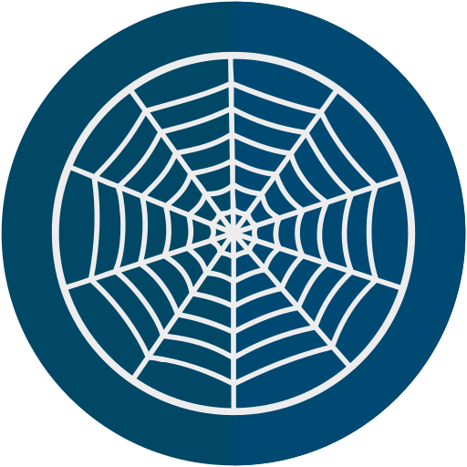 Halloween, spider, web icon