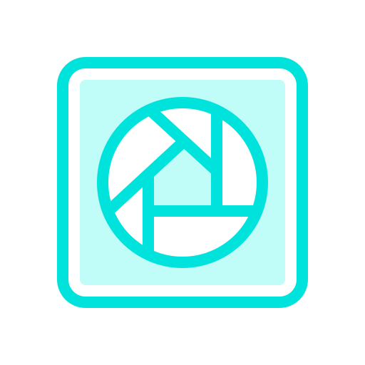 Internet, media, mobile, network, picasa, social, web icon