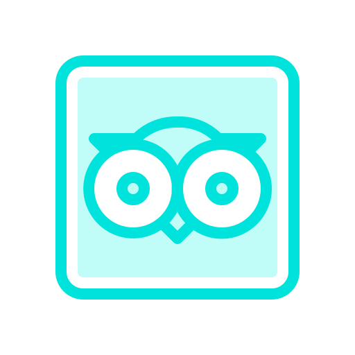 Internet, media, mobile, network, social, tripadvisor, web icon