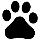 Web,Service,Baidu ok 