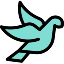 animals,bird,wedding,pigeon,dove,fly,wings