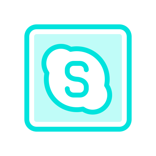 Internet, media, mobile, network, skype, social, web icon