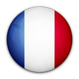 Of, flag, france icon