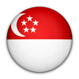 Of, flag, singapore icon