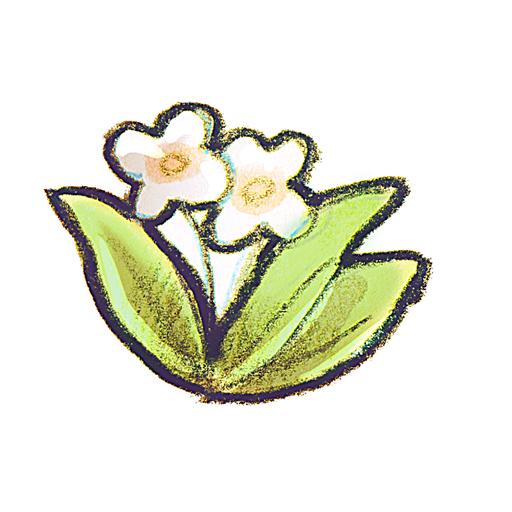 Flower,Recycle