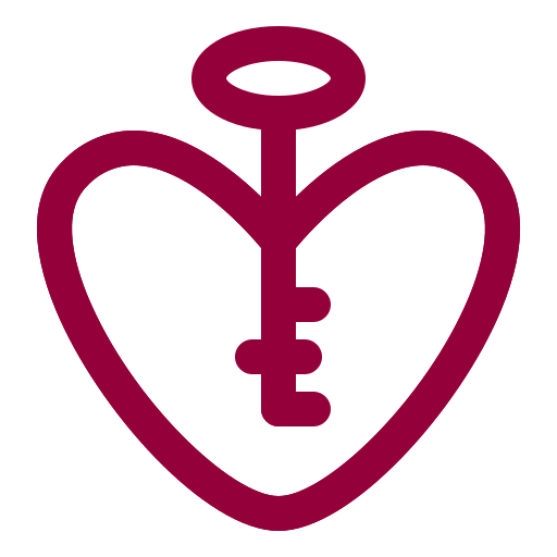 Love, key, valentine, february, heart, gift, decoration icon
