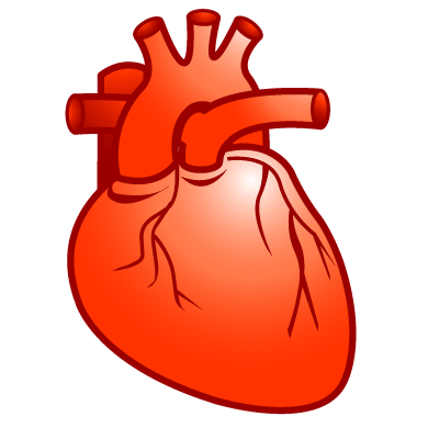 Cardiology, heart icon