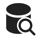 Ic,Fluent,Database,Search,Filled