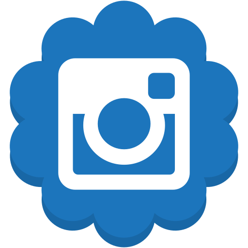 Flower, instagram, media, round, social icon