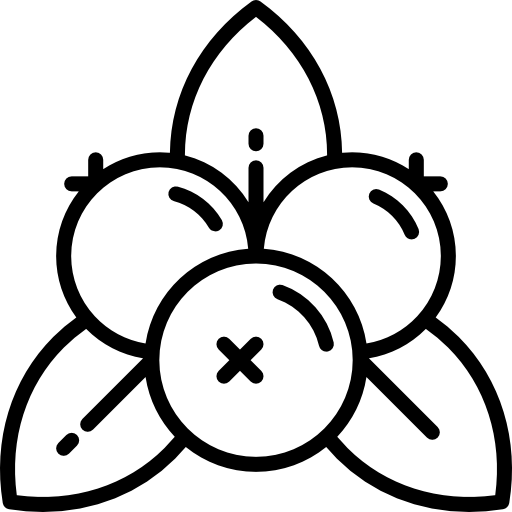 Mistletoe