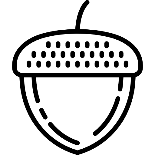 Acorn