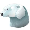 Animal,Bear,Polar