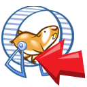 Animal,Hamster ok 