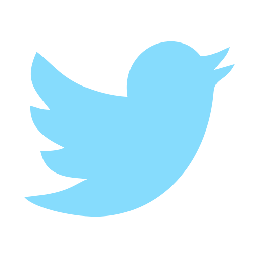 Network, social, twitter icon