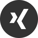 Logo,Media,Social,Xing