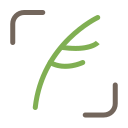 Bird,Feather,Social