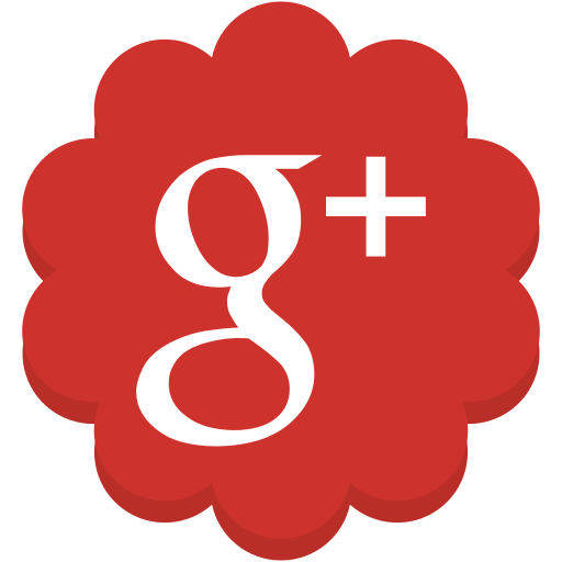 Flower, google, googleplus, media, plus, round, social icon