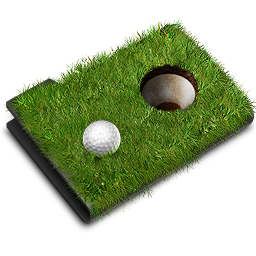 Folder, grass, sports icon