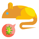 Animal,Bacteria,Contagion,Infection,Mouse,Rat,Virus