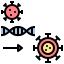 Favicon