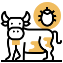 Animal,Bacteria,Cow,Virus