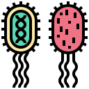 Bacteria,Germ,Infection,Virus