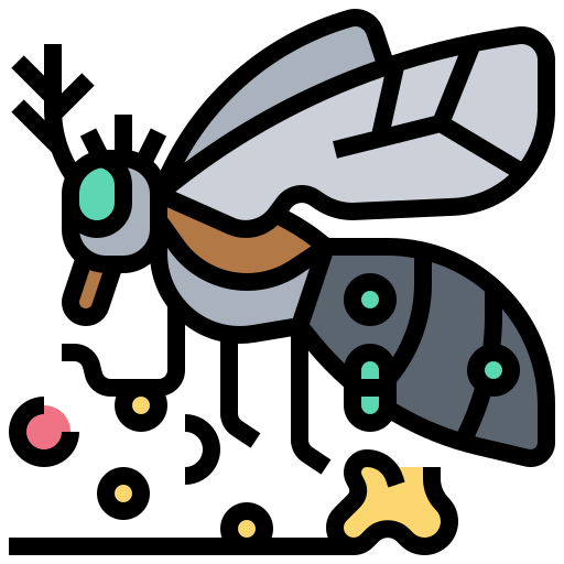 Bacteria, flies, fly, virus icon