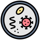 Bacteria,Germ,Parasite,Pathogen,Virus