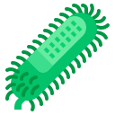 Bacteria,Rabies,Science,Structure,Virus