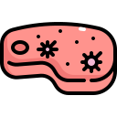 Bacteria,Food,Meat,Transmission,Virus