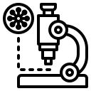 Cell,Corona,Covid19,Lab,Virus