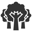 Holiday,Tourism,Travel,Tree,Vacation