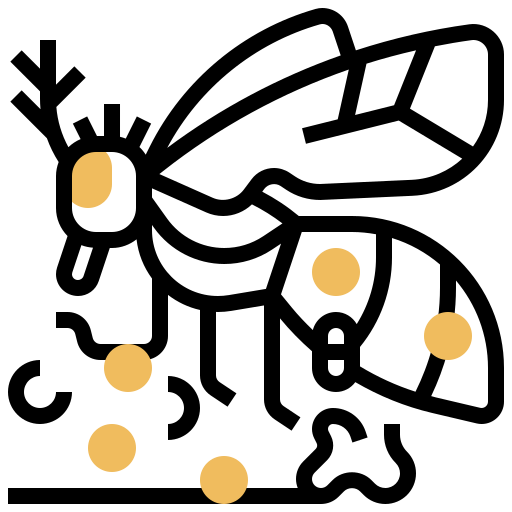 Bacteria, flies, fly, virus icon