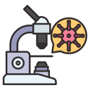 Bacteria,Coronavirus,Covid,Laboratory,Microscope,Research,Virus