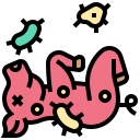 Animal,Bacteria,Pig,Virus