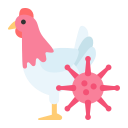 Bacteria,Chicken,Coronavirus,Outbreak,Pandemic,Virus