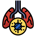 Bacteria,Lungs,Respiration,Respiratory,System,Virus
