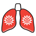 Bacteria,Coronovirus,Lung,Pneumonia,Symptoms,Coronavirus,Covid-19