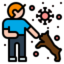Animal,Animals,Coronavirus,Human,Spread